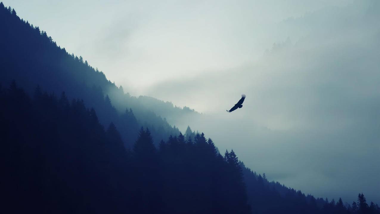hero-image